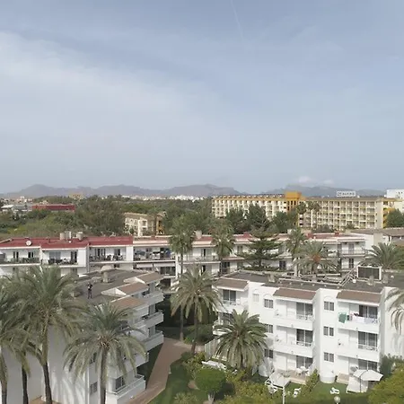 Palm Garden